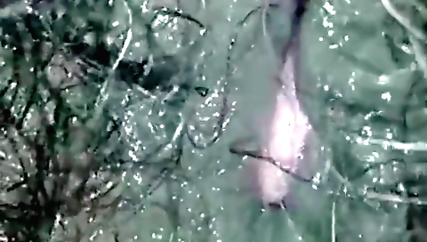 Indian hairy pussy fingered on homemade fetish video