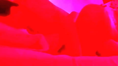 My Husband Is Not Home So I Bounce On My Stepbrother-in-laws Cock